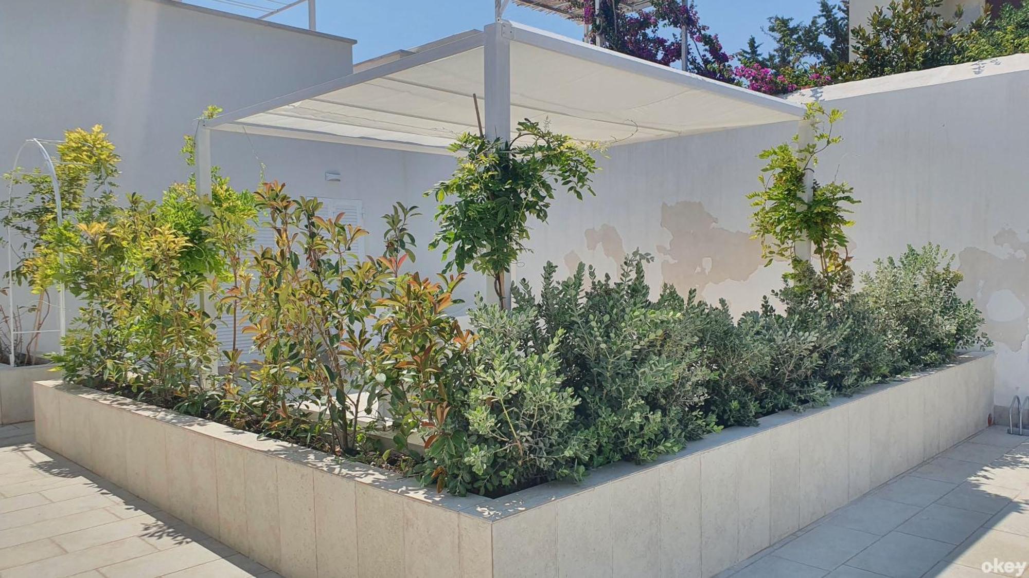 Villa Mediterranea Apartments - Seaview, Pool & Garden Bari Eksteriør bilde
